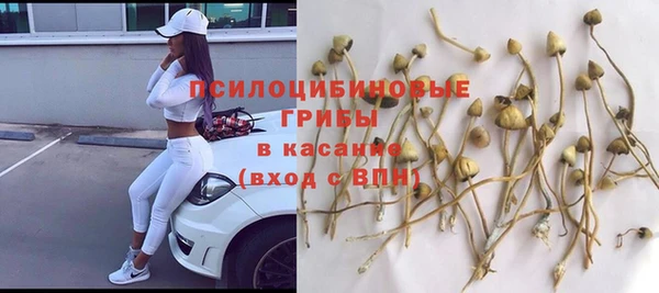 не бодяженный Арсеньев