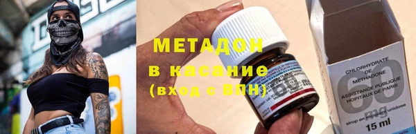 индика Аркадак
