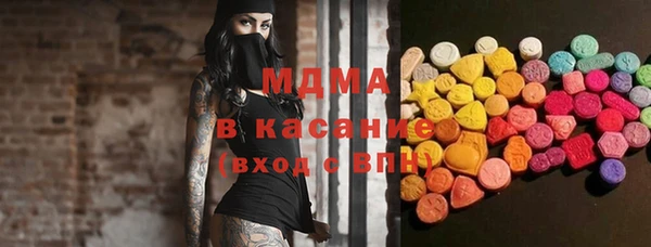 индика Аркадак