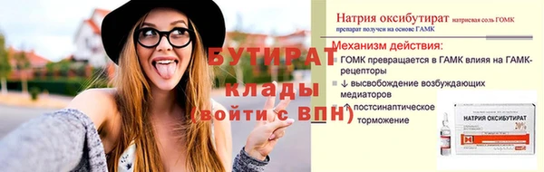 индика Аркадак