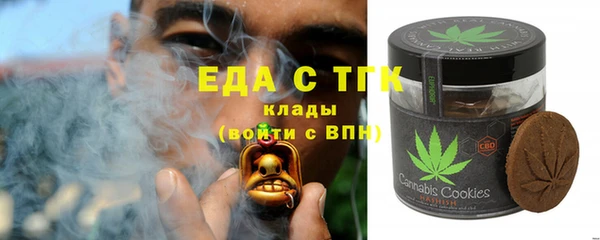 индика Аркадак