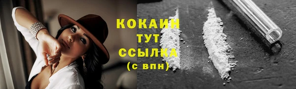 не бодяженный Арсеньев