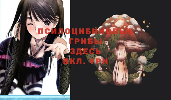а пвп мука Армянск