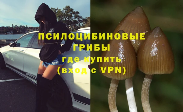 не бодяженный Арсеньев