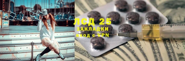 индика Аркадак