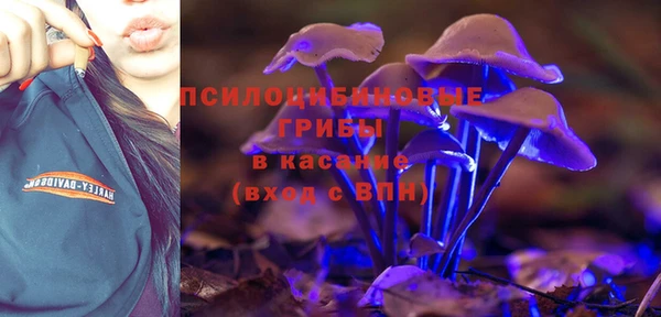 индика Аркадак